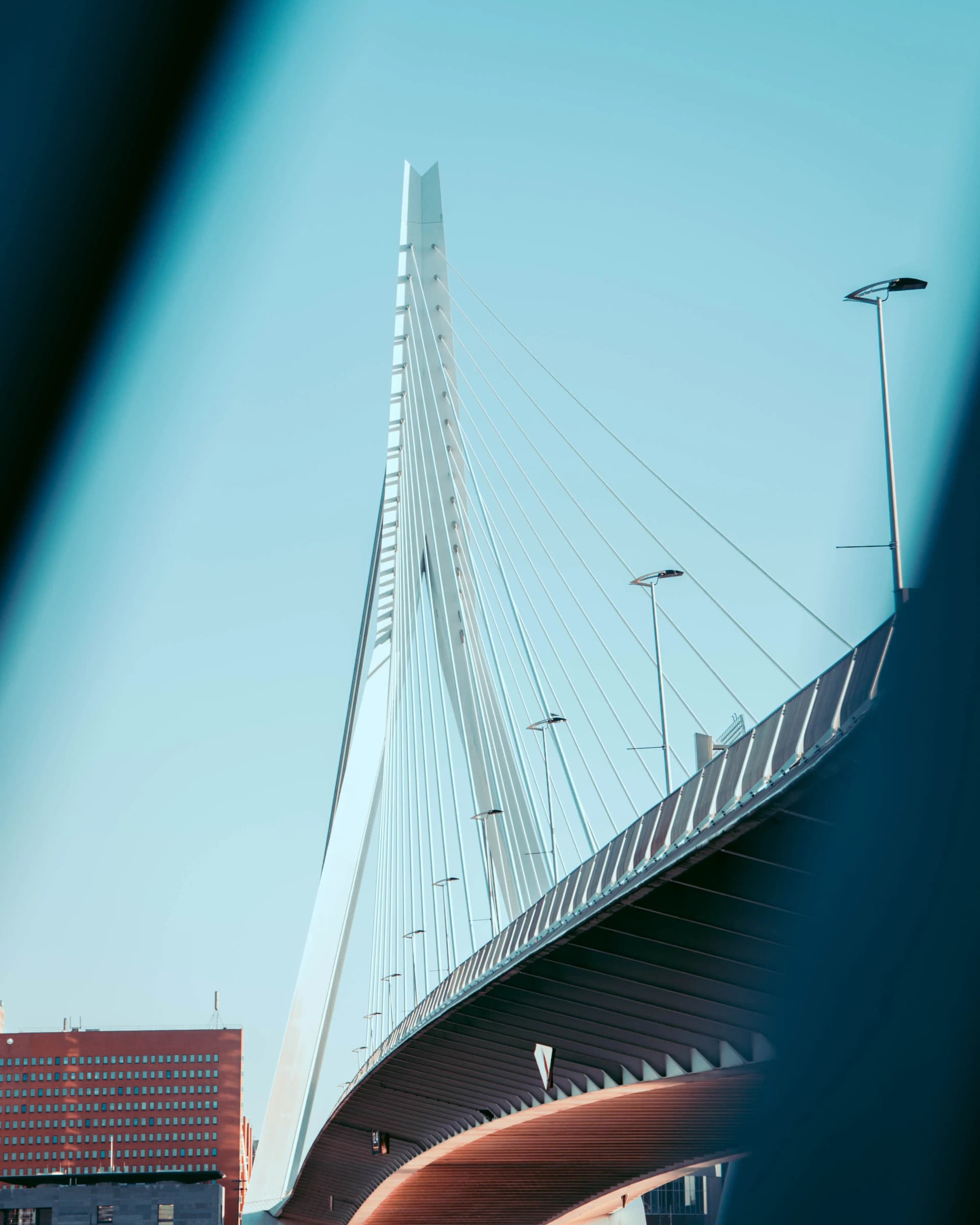 Packaging Design for Rotterdam, Netherlands: What Local Brands Need to Know (2026) | Awais Khadim Market Guides