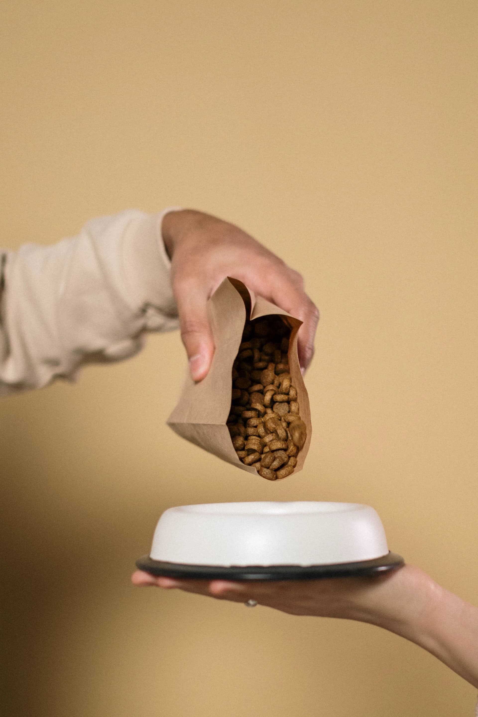 Pet Food Packaging Design: Regulations, Market Positioning, and What Actually Sells | Awais Khadim Packaging Design
